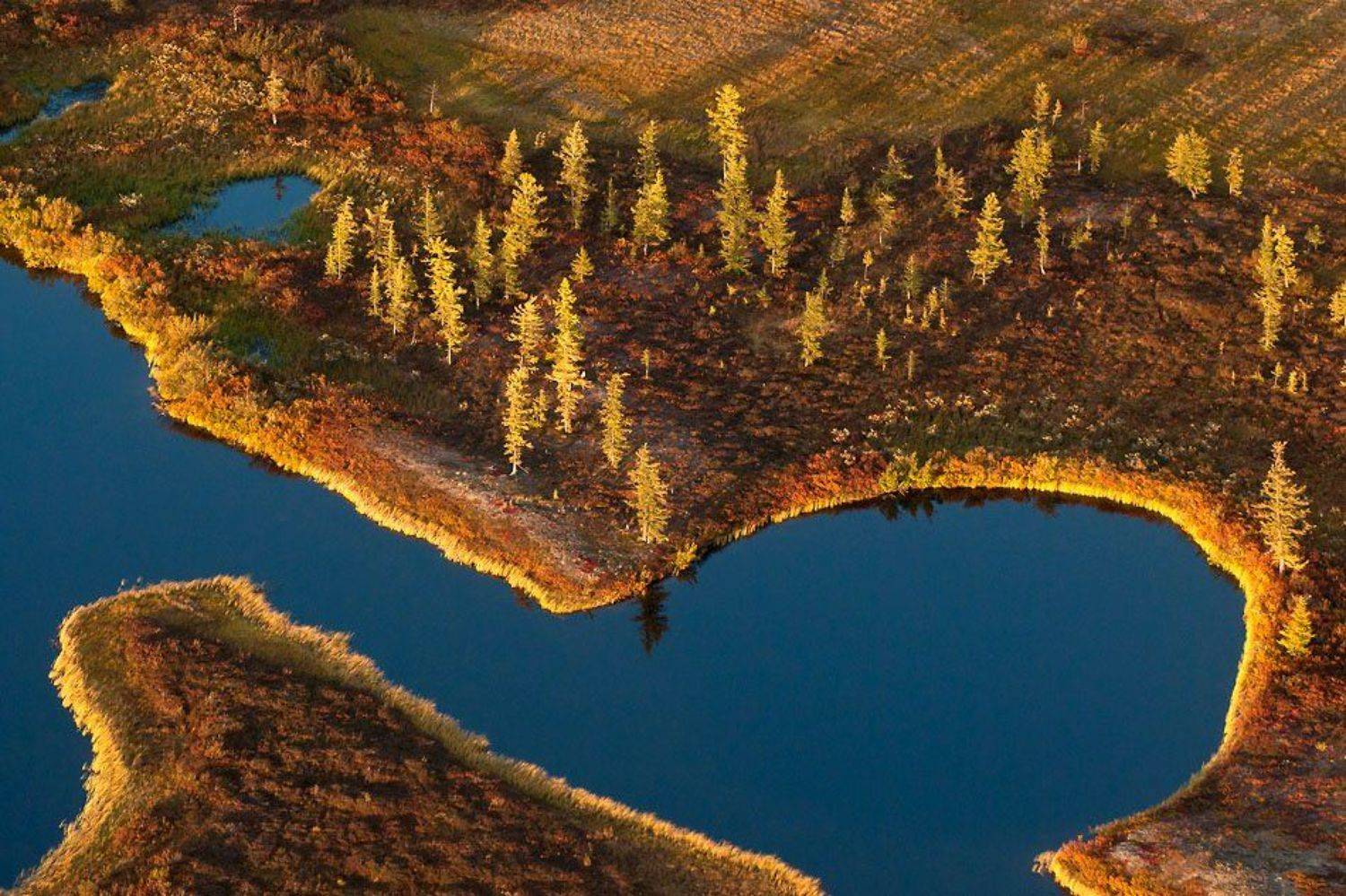 север, тундра, осень, аэросьемка, Danil Husainov