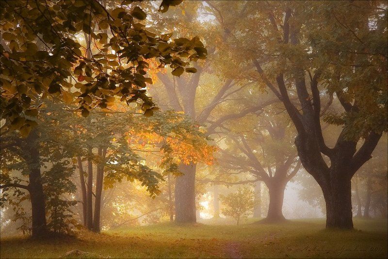 Дыхание сентябряphoto preview