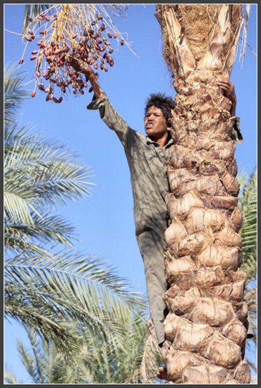 Бороться и искать, найти и не сдаваться!!!photo preview