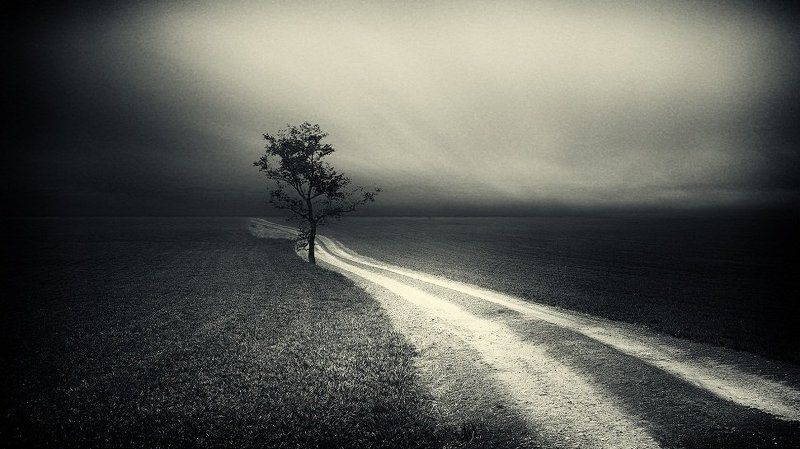 Серия одиночества...photo preview