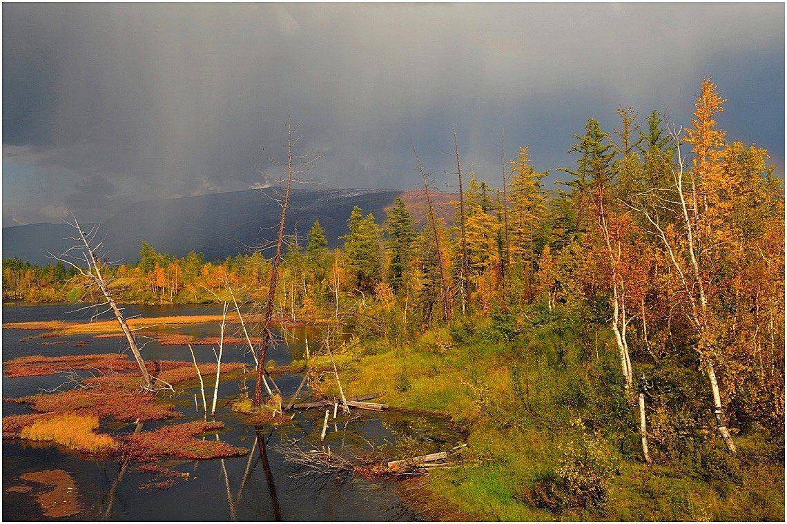 таймыр, Vladimir