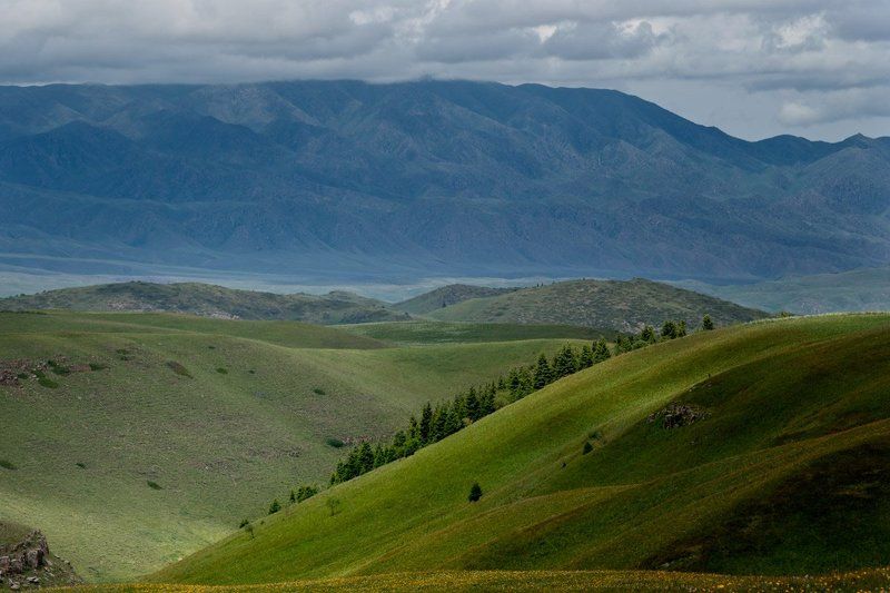 табан-карагой.казахстан,небо,горы,река,мазары.радуга,трава,алматинская область,заилийский алатау.чилик,жанишке,плато,асы, Табан карагой 2photo preview