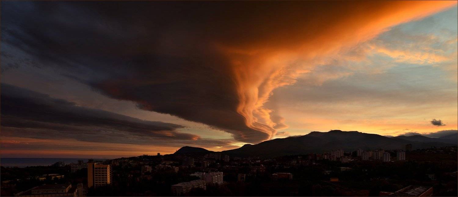 , Владимир Метцгер