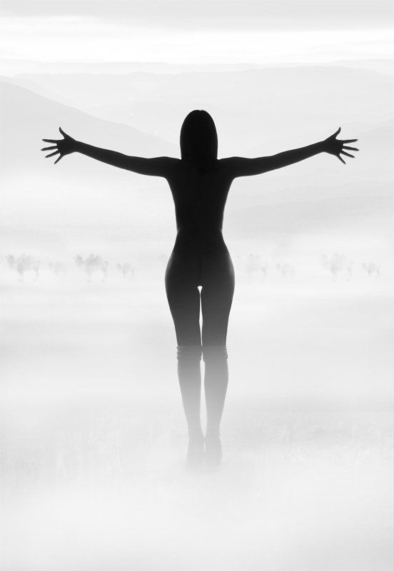 ню сонphoto preview