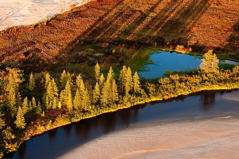 север,   тундра,   осень ,  аэросьемка сентябрьские краски тундры#2photo preview