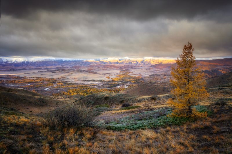 утро,курай,степь,рассвет,лиственница,горы,тучи,облака,солнце,чуя,река,склоны,сопки Утро в Курайской степи...photo preview