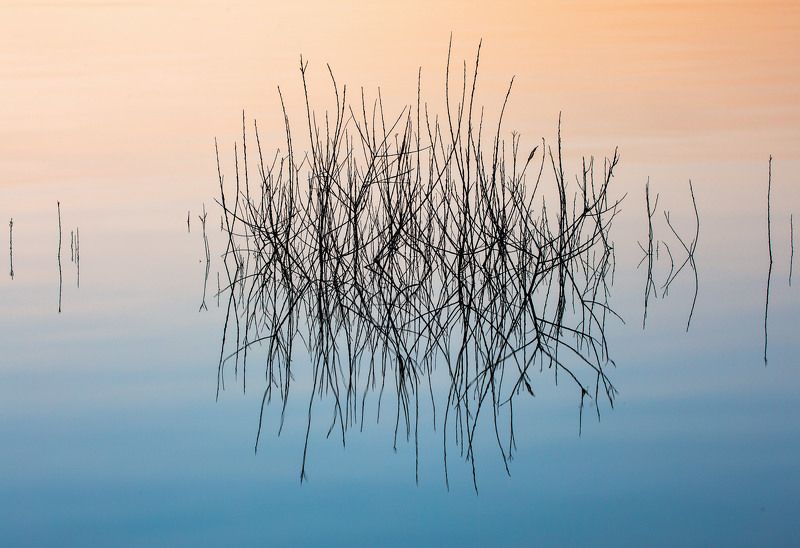 A Simple Complicationphoto preview