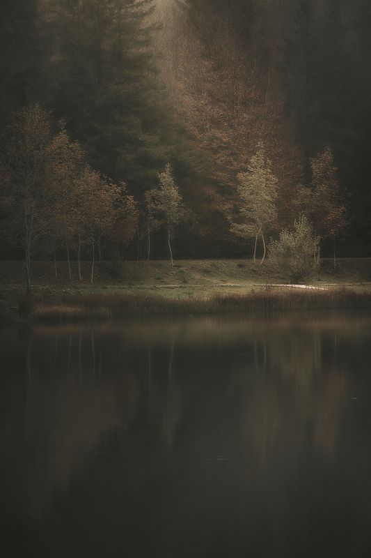 lake  light foliage Pranda Lakephoto preview