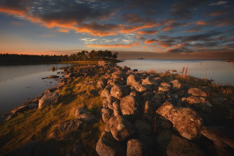 #dervod #drevo #Соловки #Филипповскиесадки Рассвет на филипповских садкахphoto preview