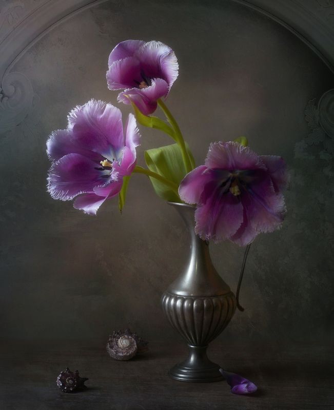 Тюльпаны и ракушкиphoto preview