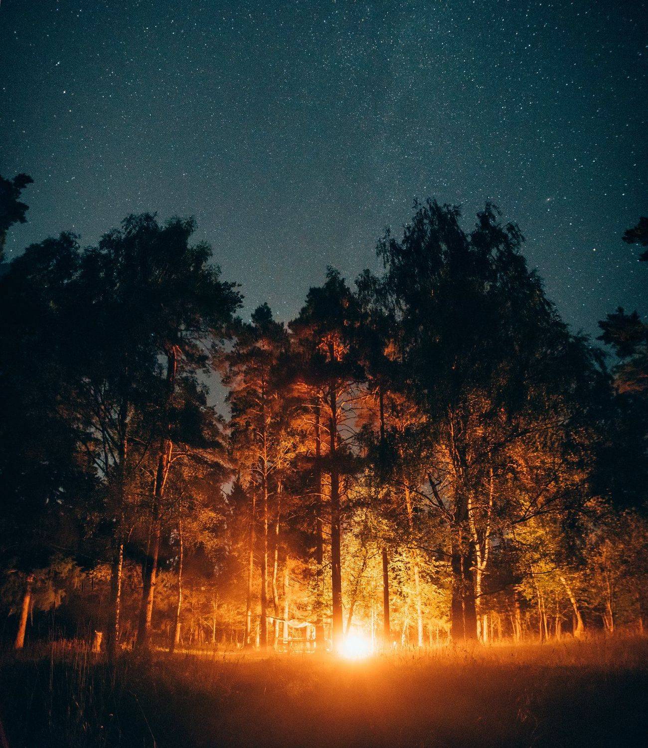 , Антон Привалов