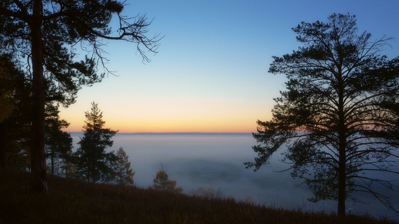 рассвет,туман,сосны,раннее утро,dawn, fog, pine, early morning. Очарование рассветом...photo preview
