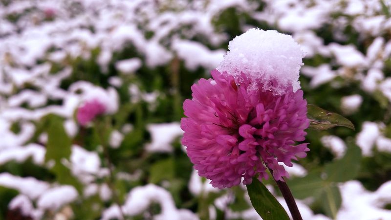 Холодный деньphoto preview