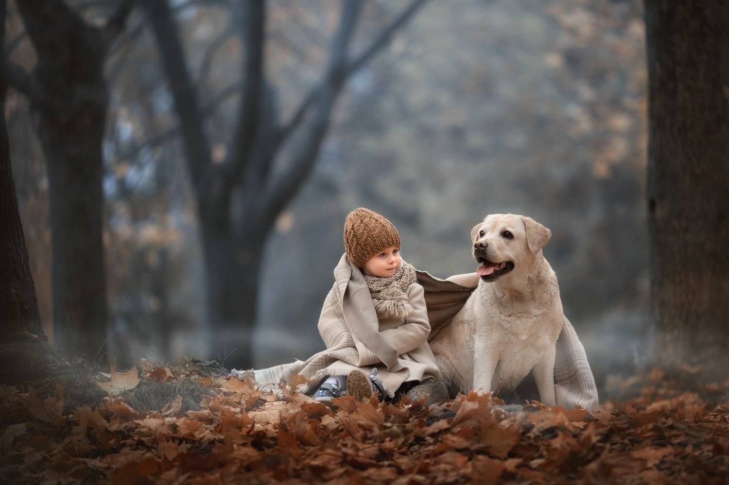 Автор: Arma Gray , Arma Gray