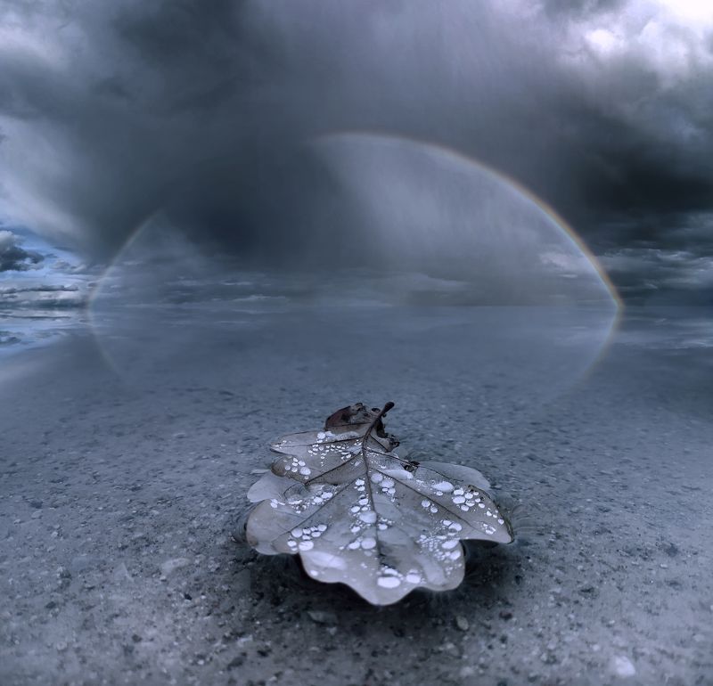 Lithuania, leaf, rainbow, sky, clouds, rain, lake, autumn *photo preview