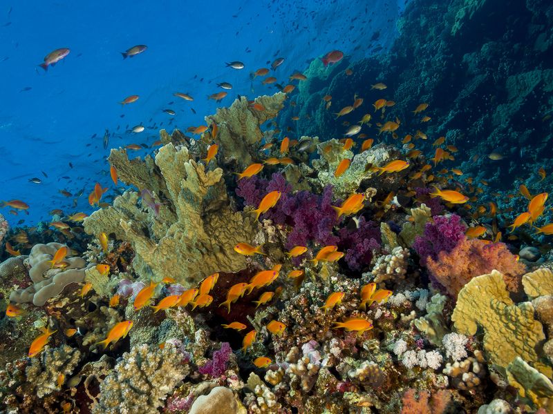 Portfolio Samplesphoto preview