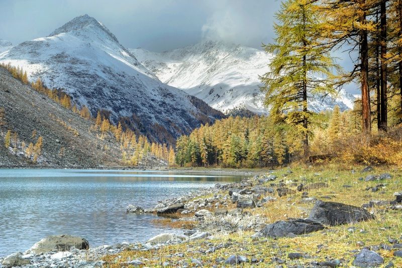 алтай,осень осенняя Шавлаphoto preview