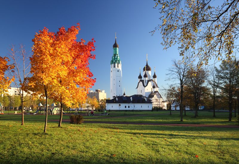 Пылающий клёнphoto preview