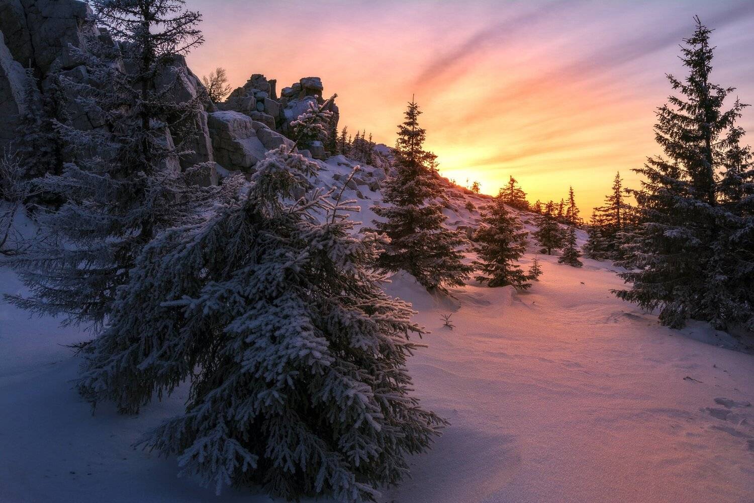 *******. Автор: Андрей Шарапов , Андрей Шарапов