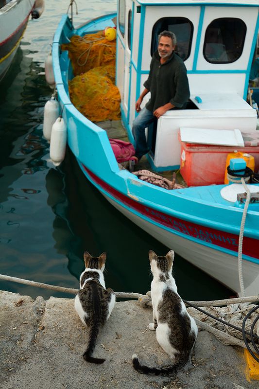 рыбак рыбака видит издалека :) фото превью