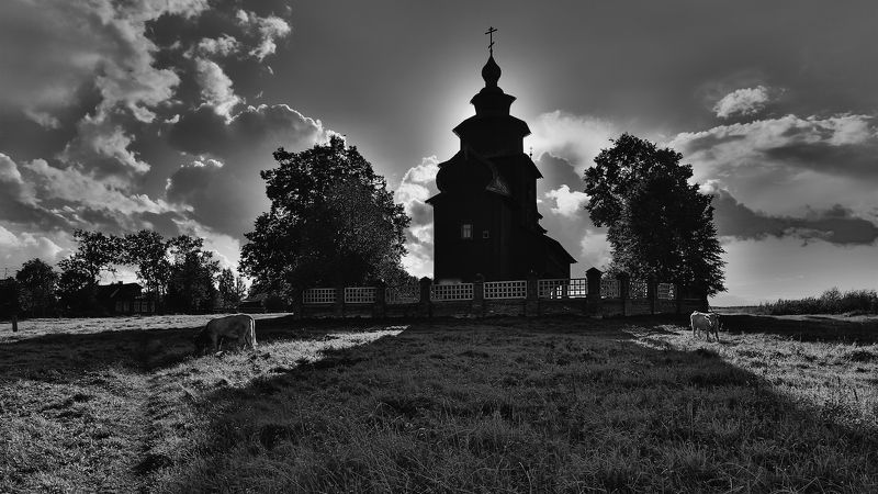 Собаки Баскервилей.photo preview