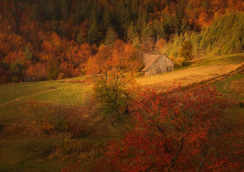 A small wooden cottage in the autumn mountainphoto preview