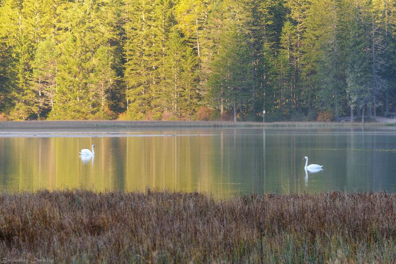 Озеро Dobbiacophoto preview
