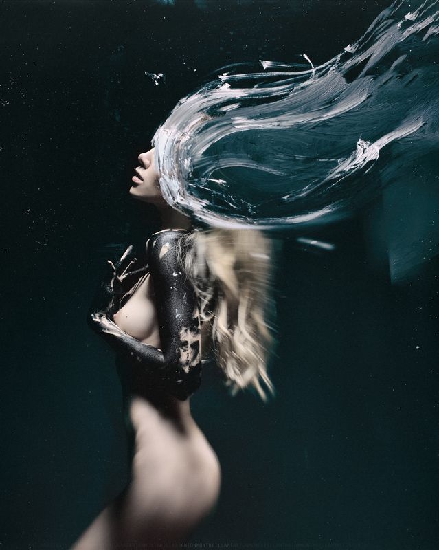 the cold night surrounds mephoto preview