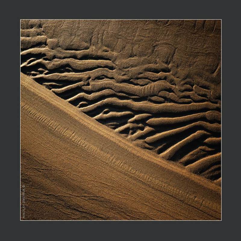 без, категории Сезонные миграции животныхphoto preview