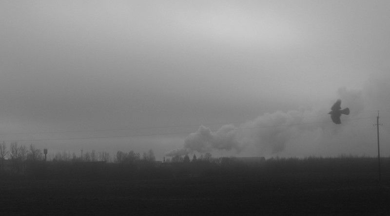 Туманphoto preview