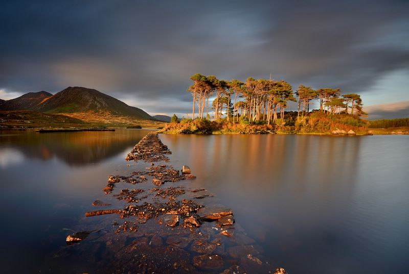 Pine Islandphoto preview