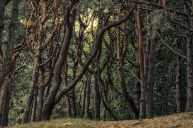 Cоединениеphoto preview