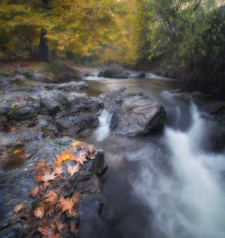 Есенphoto preview