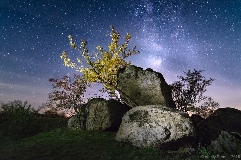 ночь, ночной пейзаж, ночная съёмка, длинная выдержка, звезды, звездное небо, млечный путь, композиция, камни Дерево-атлант. Актовский каньон.photo preview