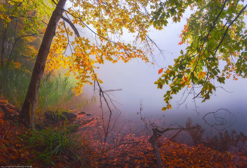 Туман осеннего озера фото превью