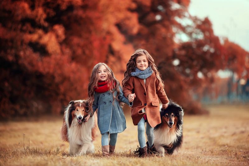 Друзьяphoto preview