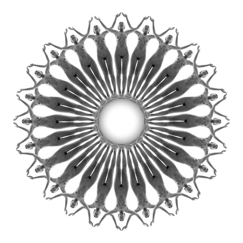 Rosone - XXIVphoto preview