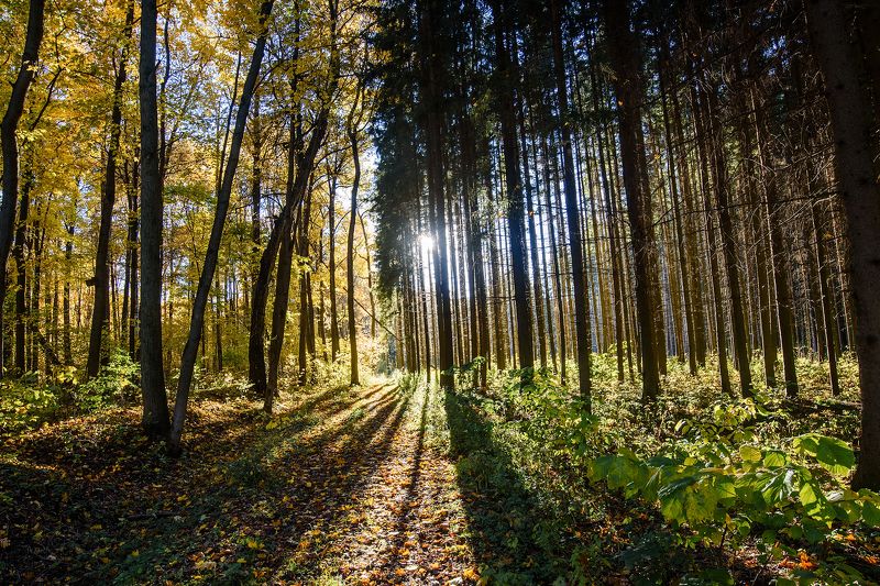 Границаphoto preview