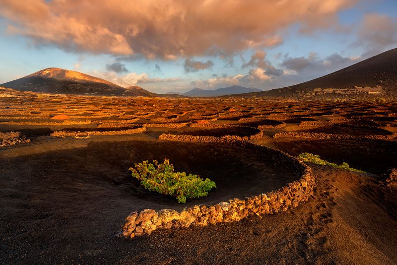 La Geria IIphoto preview