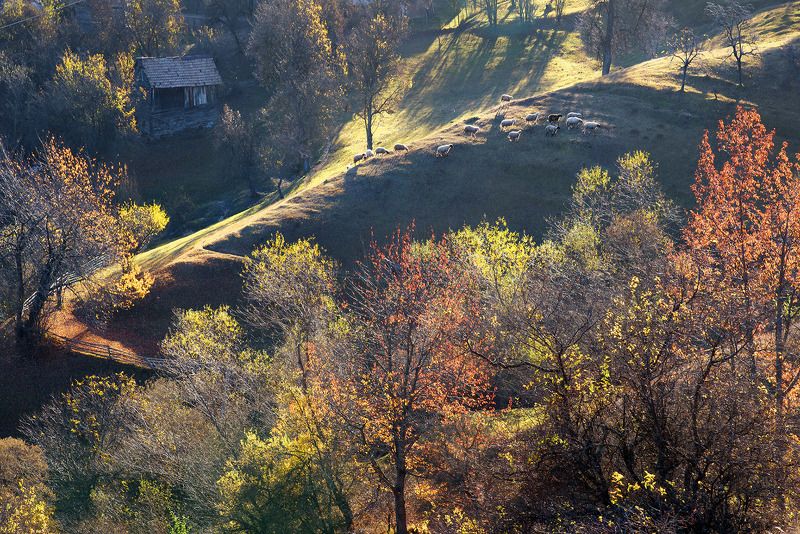 rodopi, bulgaria ***photo preview