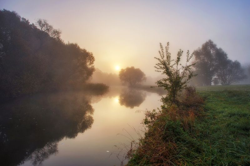 утро, осень, туман, рассвет, свислочь, минск, беларусь Свислочь ранним утромphoto preview