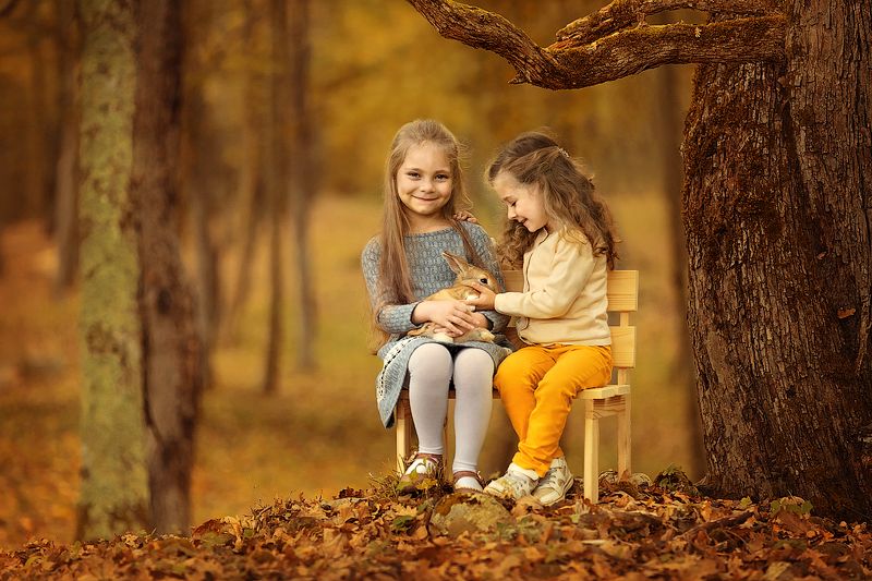 девочки,  детская и семейная фотосессия, детский и семейный фотограф, радость, восторг, счастье, фотосессия, маленькие дети, детское фото, детский фотограф, детский и семейный фотограф ольга францева, детское фото, детская фотосессия, осень, золотая осень Восторгphoto preview