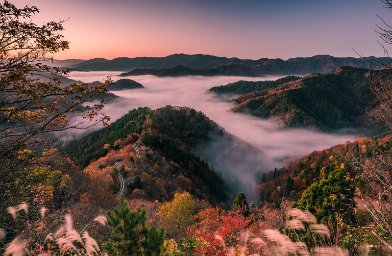 landscape, nature, low, clouds, mountain [ Sea of Clouds ]photo preview
