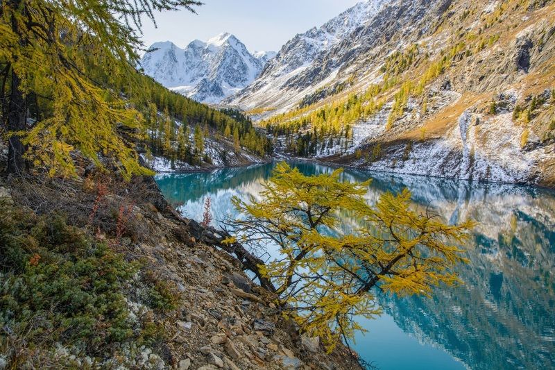 узоры осениphoto preview