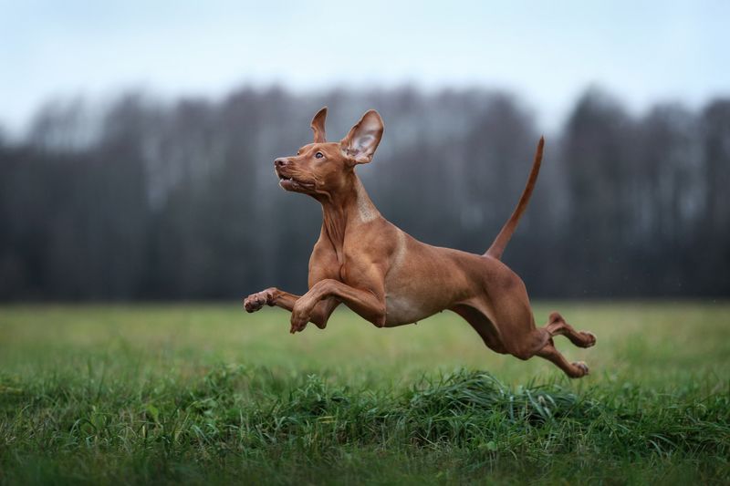 Мне бы в небоphoto preview