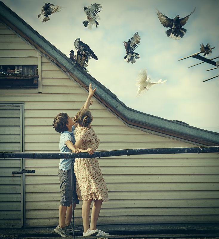 дети голуби голубятня photo preview