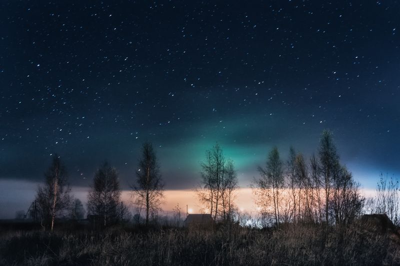 природа, пейзаж, ночь, звёзды, небо, ноябрь, nature, landscape, night, stars, sky, november Ноябрьская ночь фото превью