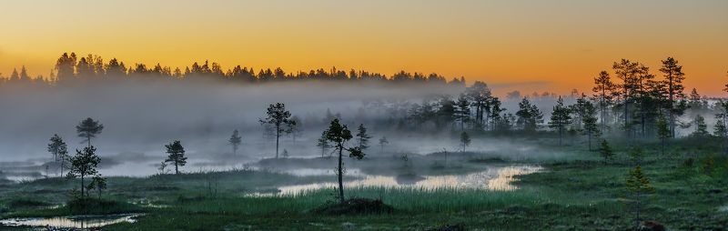 природа, пейзаж, карелия, панорама, утро, восход, рассвет, болото, туман, Про туманыphoto preview