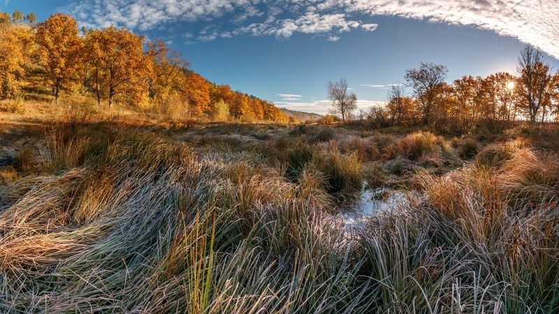 Пестрая осеньphoto preview