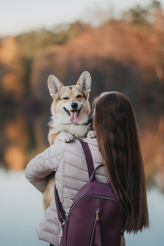 Добрая история про коржика Локи и его прекрасную хозяйку)photo preview